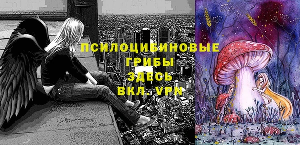2c-b Волосово