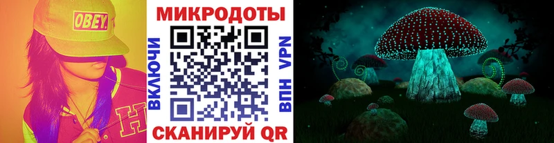 OMG ССЫЛКА  Пласт  Галлюциногенные грибы прущие грибы 